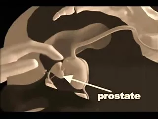 Procace brunetta succhia un video porno sesso anale lungo cazzo
